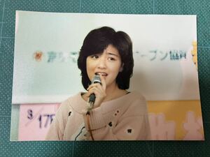 【レア】菊池桃子　写真(当時物) 薄ピンニット　昭和タレント　80年代アイドル 