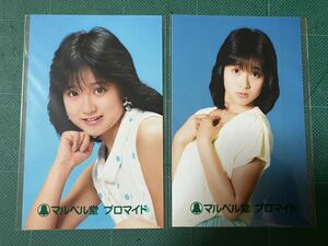 【未開封】 松本典子　マルベル堂プロマイド写真2枚　ドット　ノースリーブ　80年代アイドル 
