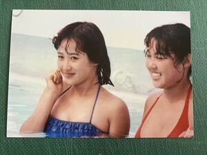 [ редкость ] Okada Yukiko фотография ....mchimchi синий купальный костюм Хориэ .. . Showa звезда 80 годы идол 