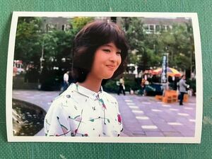 【レア】松田聖子　写真　柄シャツ　控えめな膨らみ　デビュー初期　昭和タレント　80年代アイドル 