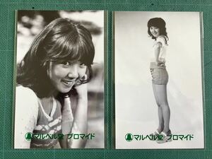 【未開封】浅田美代子　マルベル堂プロマイド写真2枚　短パン　太股　ボディライン　昭和タレント