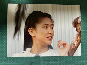 【激レア】紺野美沙子　写真(当時物) お嬢様　ユニチカ　昭和タレント