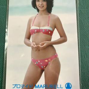【水着】 甲斐智枝美 マルベル堂プロマイド写真 ビキニ 昭和タレントの画像1