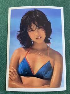 【レア】松田聖子　写真　濃青ビキニ　日焼け　昭和タレント　80年代アイドル 