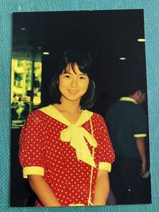 【激レア】島田奈美　写真　赤　ドット　オフ　80年代アイドル 
