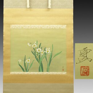 [ genuine work ]..*[ Kawade ... daffodil flower map ] 1 width old writing brush old document old book Japanese picture . flower map modern times picture ... tea ceremony China picture Aichi Kyoto Showa era Heisei era 