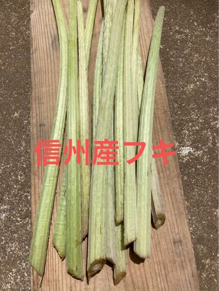 信州産 長野県産 天然ふき 無農薬