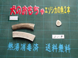  dog. toy, tooth hardening toy (ezo deer. angle two book@) for small dog A