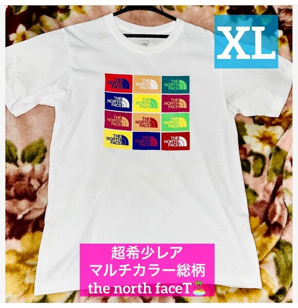 夏Tシャツとして欲しい！第②弾！！入手困難レア伝説のマルチカラー総柄ザノースフェイスthenorthface XLサイズ 半袖