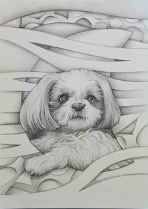 Art hand Auction Gemälde, Bleistiftzeichnungen, Tierzeichnungen, Hundezeichnungen, echte Arbeit Shih Tzu am Mondscheinfenster Vol2WAN-8-2023 von Atelier809, B5-Größe *Kein Rahmen., Malerei, Aquarell, Tierbilder