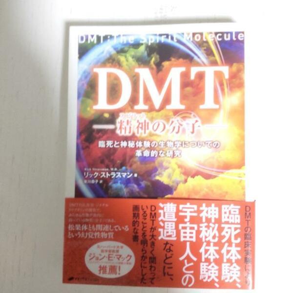 【送料無料・即決】【帯付き】ＤＭＴ　リック・ストラスマン著　東川恭子訳　ナチュラルスピリット