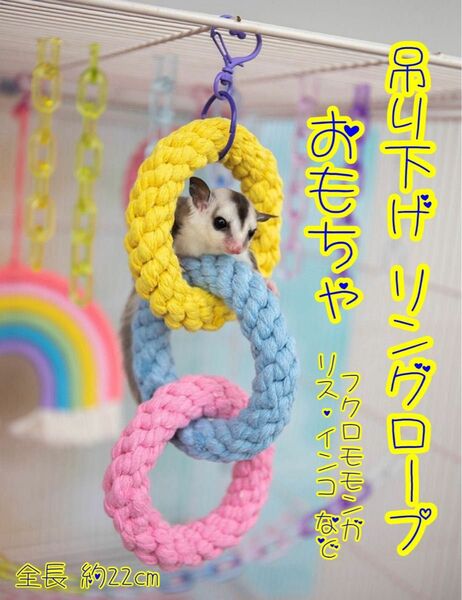 おもちゃ 小動物 吊り下げ リング ロープ フック付き フクロモモンガ