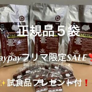 【paypayフリマ限定！SALE！】モルモットセレクションプロ600g×5袋＆試食品20袋プレゼント付！