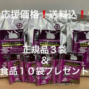 《応援価格！》バニーセレクションプロ メンテナンスミックスヘイ1kg正規品×3袋＆試食品10袋プレゼント！