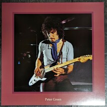 レア2LP ピーター・グリーンズ・フリートウッド・マック ライヴ・アット・ザ・BBC Peter Green's Fleetwood Mac Live At The BBC BluesRock_画像6