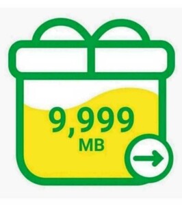 【即日迅速対応】mineo パケットギフト 約10GB マイネオ　匿名配送　