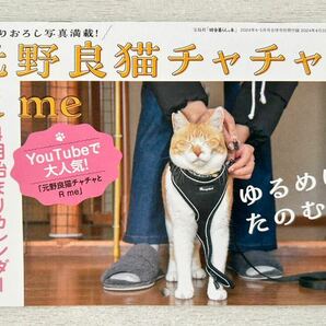 即決 送料込★田舎暮らしの本別冊付録【元野良猫チャチャとR me 4月始まりカレンダー2024年4月-2025年3月】付録のみ匿名配送 ネコ にゃんこ