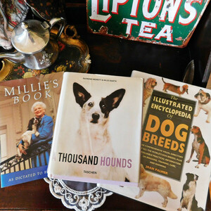 +..。*゜+ 犬の洋書　3冊セット　図鑑 ヴィンテージ本　洋書　古書　英国　アメリカ　アンティークブック　画像豊富　ビンテージ