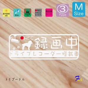 トイプードル ドラレコステッカー 03 Mサイズ 文字(書体) 4種類から選べる 全28色 #drFUMI #dFUMI #ddFUMI #ddFUMIトイプードル #ドラレコ