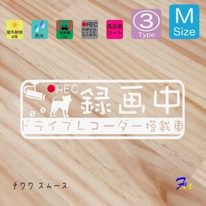 チワワスムース ドラレコステッカー 03 Mサイズ 文字(書体) 4種類から選べる 全28色 #drFUMI #dFUMI #ddFUMI #ddFUMIチワワ #ドラレコ