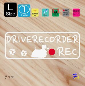 テリア ドラレコステッカー 01 Lサイズ 文字(書体) 4種類から選べる 全28色 #drFUMI #dFUMI #ddFUMI #ddFUMIテリア #ドラレコ