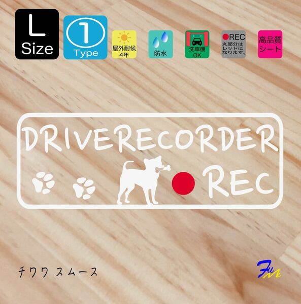 チワワスムース ドラレコステッカー 01 Lサイズ 文字(書体) 4種類から選べる 全28色 #drFUMI #dFUMI #ddFUMI #ddFUMIチワワ #ドラレコ