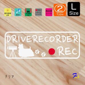 テリア ドラレコステッカー 02 Lサイズ 文字(書体) 4種類から選べる 全28色 #drFUMI #dFUMI #ddFUMI #ddFUMIテリア #ドラレコ