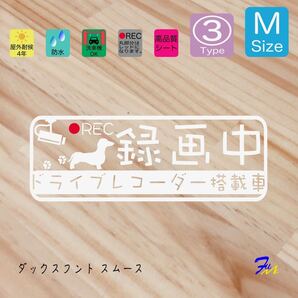 ダックススムース ドラレコステッカー 03 Mサイズ 文字(書体) 4種類から選べる 全28色 #drFUMI #dFUMI #ddFUMI #ddFUMIダックス #ドラレコ