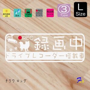 チワワロング ドラレコステッカー 03 Lサイズ 文字(書体) 4種類から選べる 全28色 #drFUMI #dFUMI #ddFUMI #ddFUMIチワワ #ドラレコ