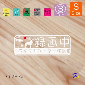 トイプードル ドラレコステッカー 03 Sサイズ 文字(書体) 4種類から選べる 全28色 #drFUMI #dFUMI #ddFUMI #ddFUMIトイプードル #ドラレコ