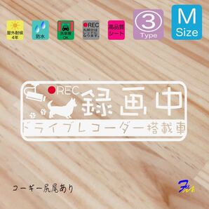 コーギー尻尾あり ドラレコステッカー 03 Mサイズ 文字(書体) 4種類から選べる 全28色 #drFUMI #dFUMI #ddFUMI #ddFUMIコーギー #ドラレコ