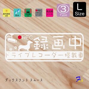 ダックススムース ドラレコステッカー 03 Lサイズ 文字(書体) 4種類から選べる 全28色 #drFUMI #dFUMI #ddFUMI #ddFUMIダックス #ドラレコ