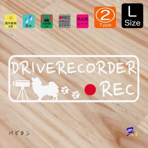 パピヨン ドラレコステッカー 02 Lサイズ 文字(書体) 4種類から選べる 全28色 #drFUMI #dFUMI #ddFUMI #ddFUMIパピヨン #ドラレコ