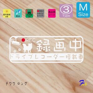 チワワロング ドラレコステッカー 03 Mサイズ 文字(書体) 4種類から選べる 全28色 #drFUMI #dFUMI #ddFUMI #ddFUMIチワワ #ドラレコ