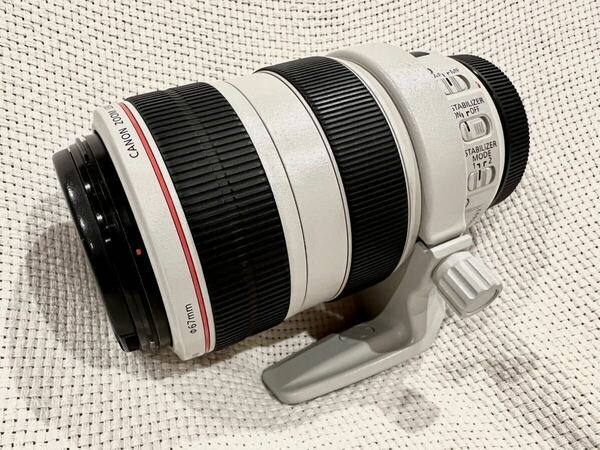 CANON EF 70-300mm F4-5.6 L IS USM フード付き　おまけ　PRO1D プロテクター