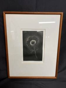 ... Tanba .[ anemone ] copperplate engraving autograph autograph limitation 40 part 1973 year work mezzo chin to