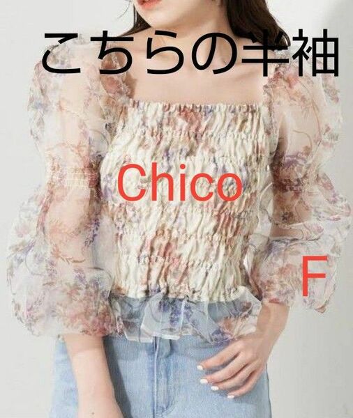 美品【Chico☆チコ】オーガンジー　シャーリング　フラワープリント柄　半袖カットソー　F　フリー　ベージュ　シアー 花柄　フリル