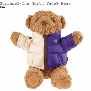 Supreme The North Face Bear 24ss シュプリーム　ノースフェイス　ベア