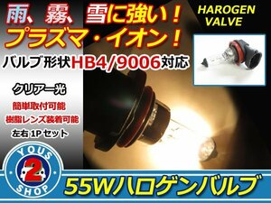 12V HB4 純正交換 ハロゲン球 フォグランプ バルブ 2本セット