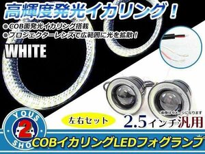 2.5インチ 64mm COB イカリング LED プロジェクター フォグランプ 白×白 左右セット 10W×2 合計20W ハイパワーライト ステー付 Sサイズ