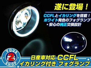 ガラス セレナハイウェイスター C25 CCFLリング フォグ ホワイト