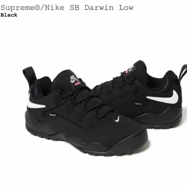 最安値　Supreme × Nike SB Darwin Low Black US9