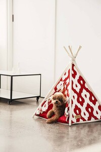  для домашних животных bed - tsu and Bay чай pi- палатка M размер красный модный высококлассный HUTS AND BAY TEPEE TENT собака кошка bed домашнее животное клетка 