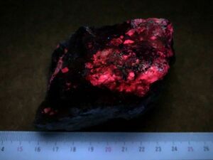 * peg ma tight * Iwate prefecture cat mountain . mountain production [ domestic production mineral specimen * Miyazawa Kenji .... . mountain * red fluorescence unusual production ground ]