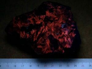 * person . stone * Gunma prefecture white .. mountain [ domestic production mineral specimen * red fluorescence *karu site unusual production ground ]