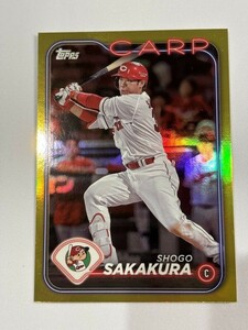 2024 TOPPS NPBプロ野球 広島 秋山翔吾 Gold 50枚限定