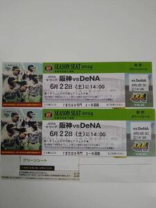 6月22日(土)阪神甲子園球場　阪神vs DeNA　グリーンシート　2連番ペアチケット