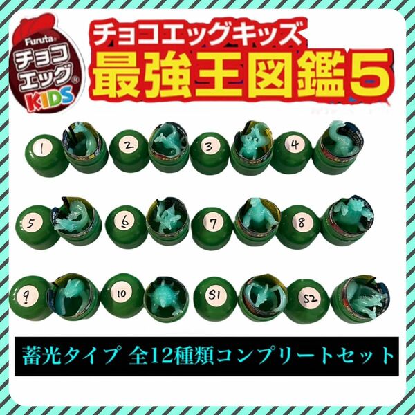 【新品未使用・激レア】蓄光12種 同色コンプ チョコエッグ ドラゴン最強王図鑑5