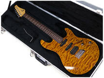 2005年 Rahbek Standard ラーベック デンマーク製ハイエンドギター Bare Knuckle Suhr Tom Anderson James Tyler ハードケース付き_画像1