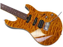 2005年 Rahbek Standard ラーベック デンマーク製ハイエンドギター Bare Knuckle Suhr Tom Anderson James Tyler ハードケース付き_画像4